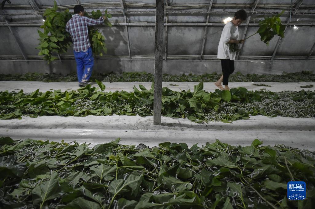 悠悠互娱下载